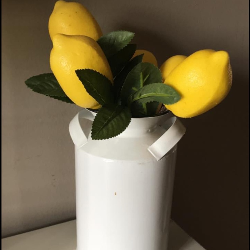 Case with lemons